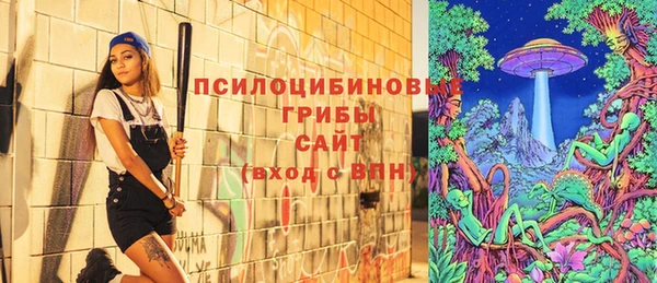 таблы Алзамай