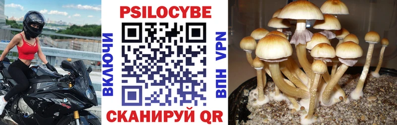 Галлюциногенные грибы MAGIC MUSHROOMS  Брюховецкая 